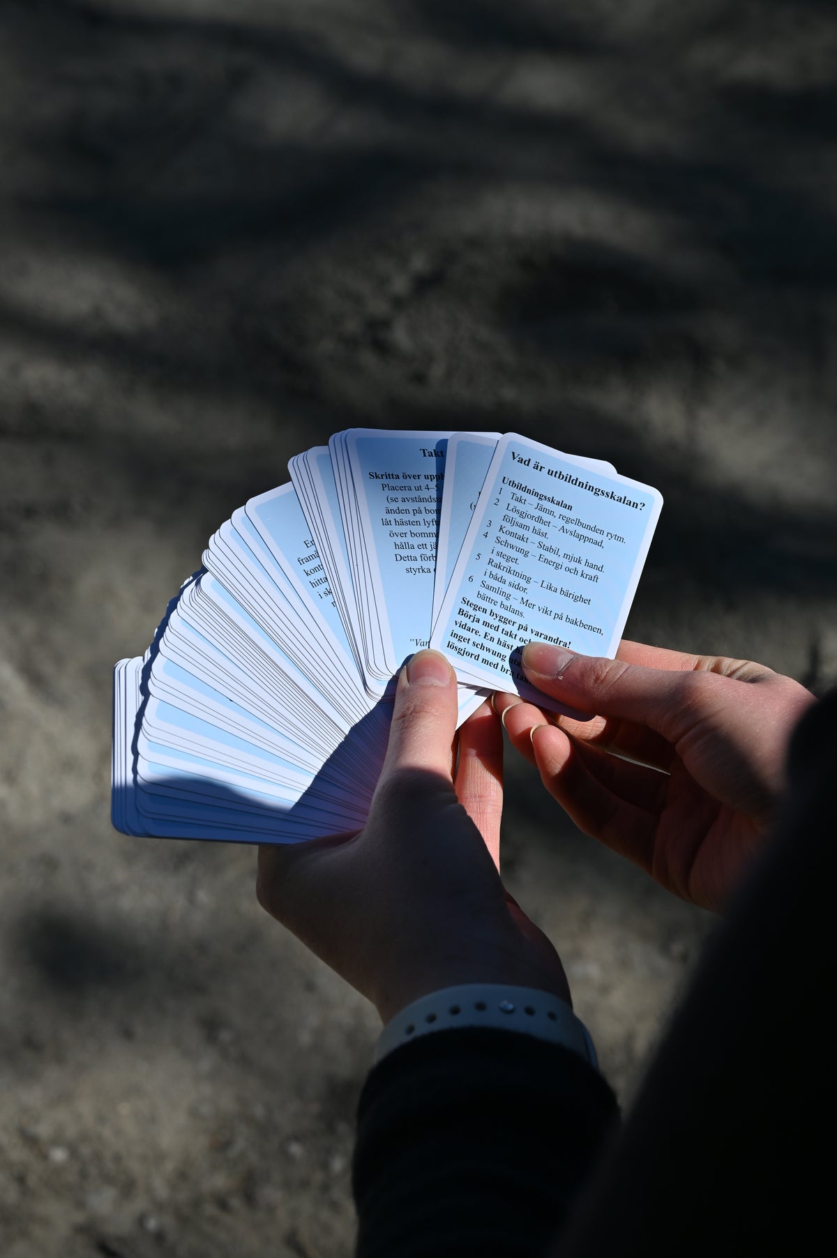 Equicards Grundövningar