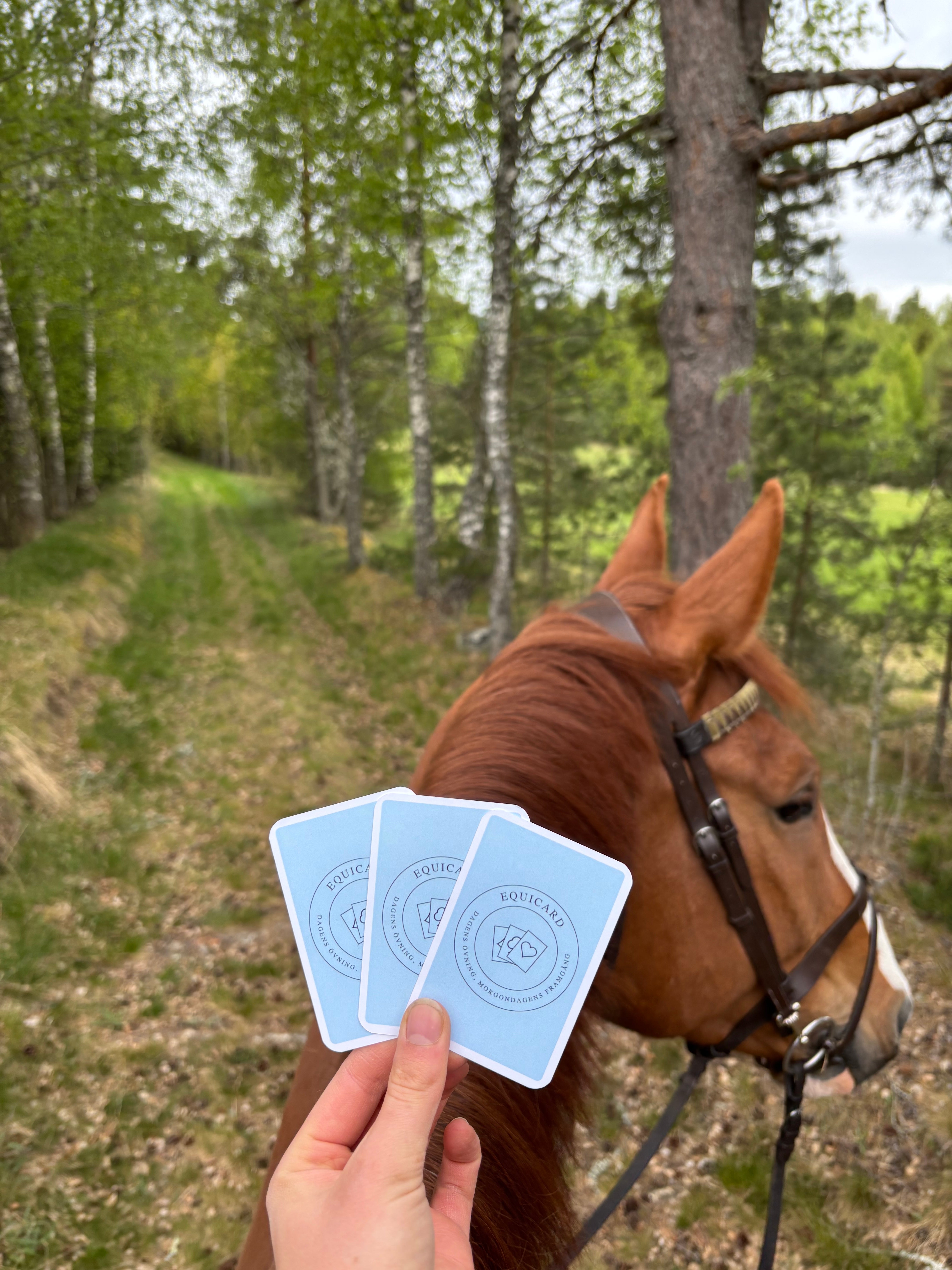 Equicard träningskort används vid uteritt 